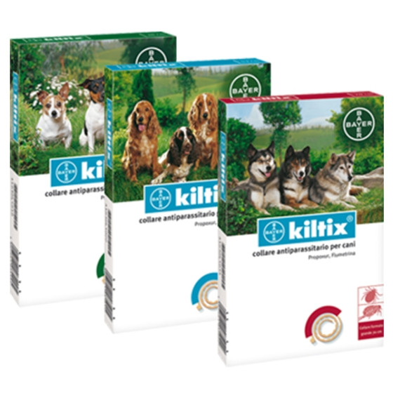 Bayer - Kiltix Kleines Halsband 38 cm -