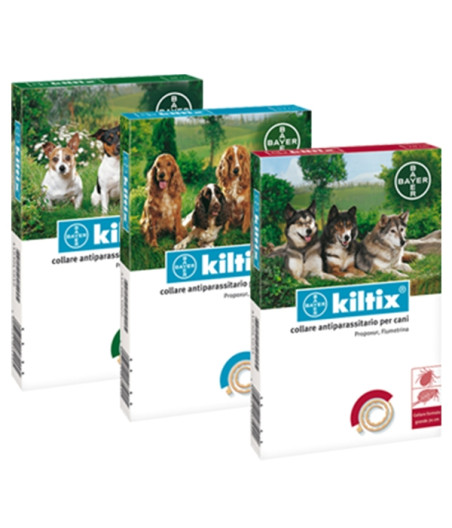 Bayer - Kiltix Kleines Halsband 38 cm
