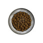 BELCANDO Baseline Ranger Grain Free 12,5 kg