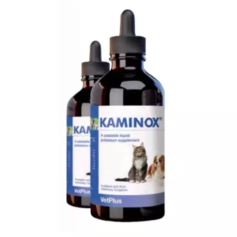 Vet Bros - Kaminox Sciroppo 60 ml. - 