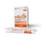 INNOVET GlupaCur 30 sticks orali pour Chien et Chat