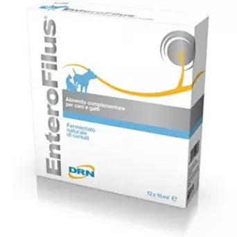 DRN Enterofilus 12 Ampullen 10 ml.