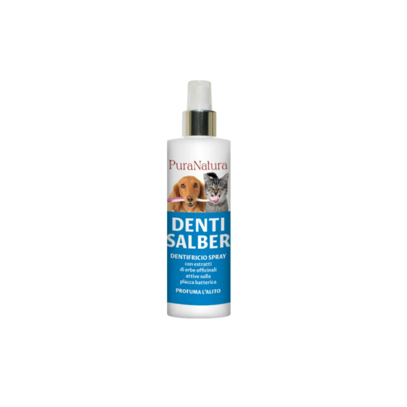 Officinalis Teeth Salber Zahnpasta Spray 100 ml.