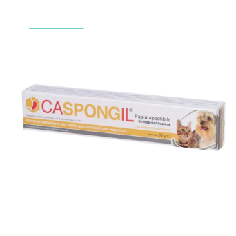 SHEDIRPHARMA Caspongil-Paste 30 gr. - 