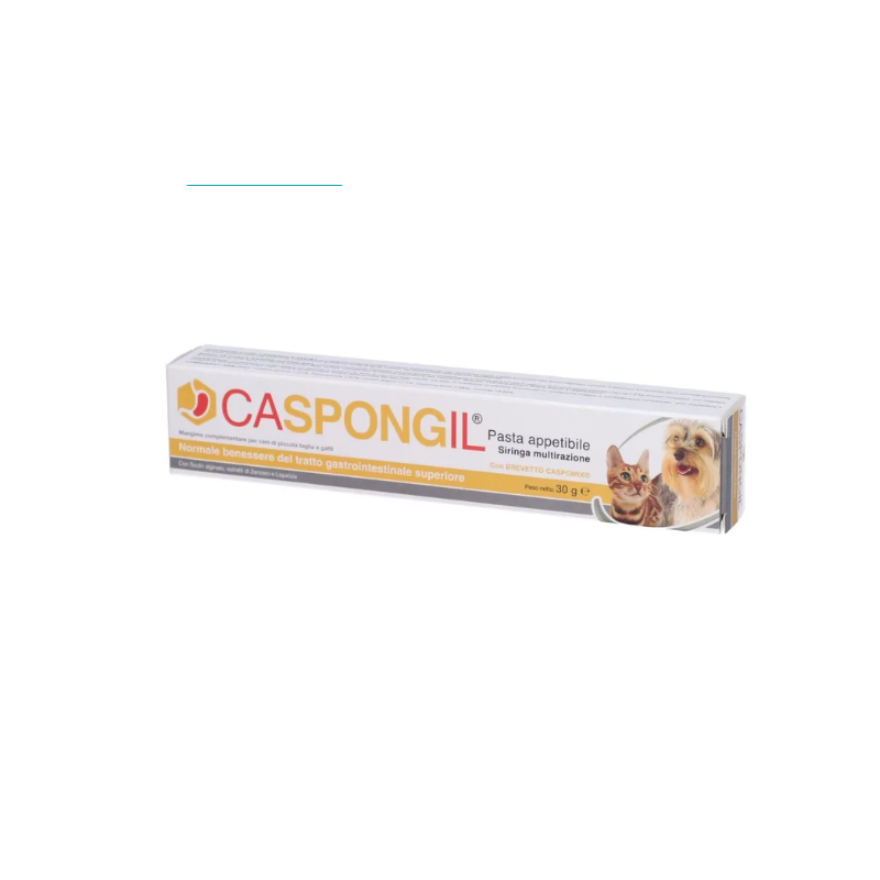 SHEDIRPHARMA Caspongil paste 30 gr. SHEDIRPHARMA Caspongil paste 30 gr.