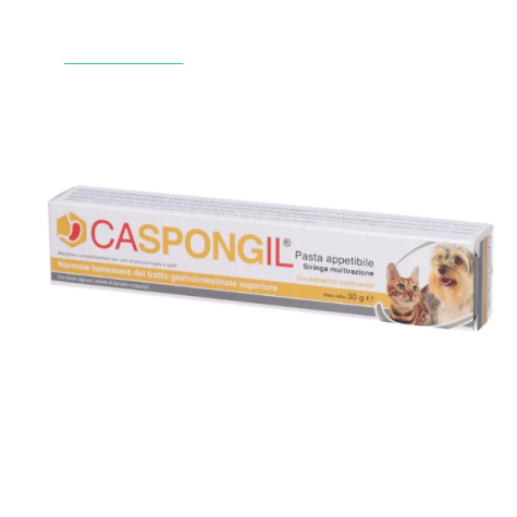 SHEDIRPHARMA Caspongil pasta 30 gr. - 
