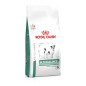 ROYAL CANIN Vet Diet Diabetic/Glycobalace 4 kg.