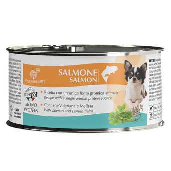 MARPET Equilibriavet dog salmone 150 gr. - 