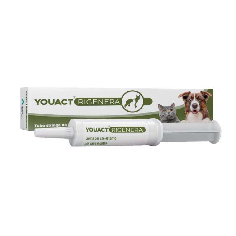 MSD - Youact regeneriert Creme 10 gr MSD - Youact regeneriert Creme 10 gr
