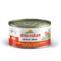 Almo Nature Gatto HFC Gelee Lachs mit Karotte gr. 70