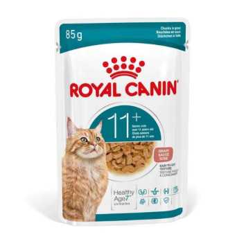 Royal Canin Fatto Aging 11+ Soße in Soße 85 Gr. - 