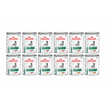 ROYAL CANIN Sättigung Gewichtsmanagement 12x410 gr. -