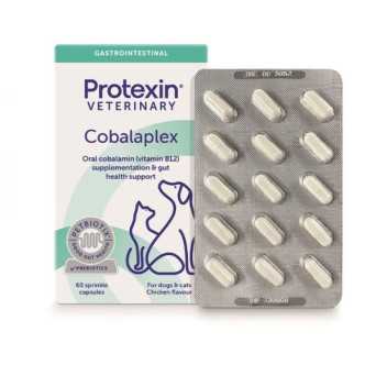 Ecuphar NV - Cobalaplex 60 Tabletten - 