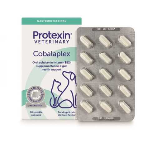 Ecuphar NV - Cobalaplex 60 cpr - 