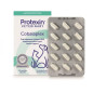 Ecuphar NV - Cobalaplex 60 cpr