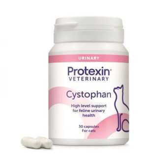 Ecuphar NV - Cystophan 30 cpr - 