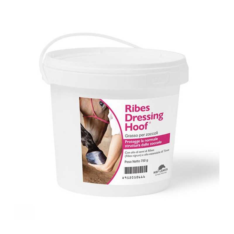 NBF Lanes - Ribes Dressing Hoof 750 gr NBF Lanes - Ribes Dressing Hoof 750 gr