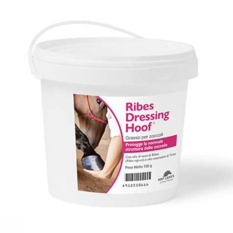 NBF Lanes - Ribes Dressing Huf 750 gr - 