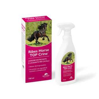 NBF Lanes - Ribes Horse Top Crine Spray 30x750 ml - 