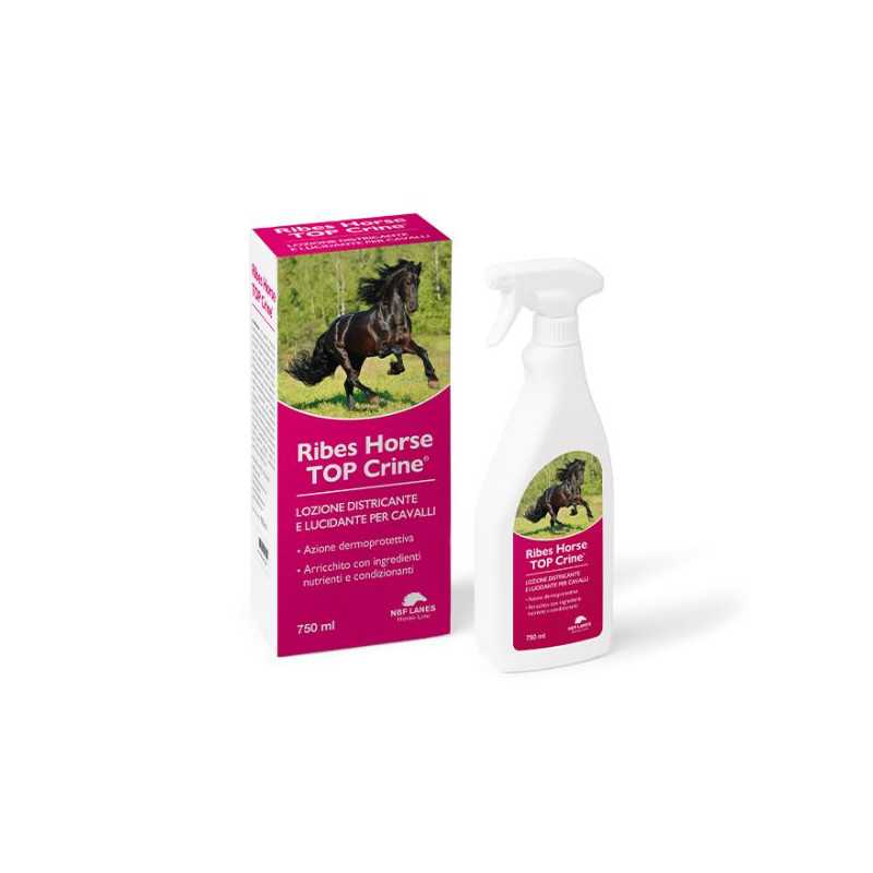 NBF Lanes - Ribes Horse Top Rosshaarspray 30x750 ml