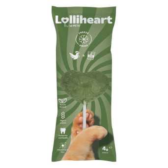 LOLLIHEART GATTO POLLO CATNIP - 