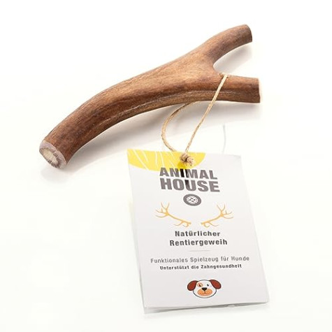 Corno di Renna M - 