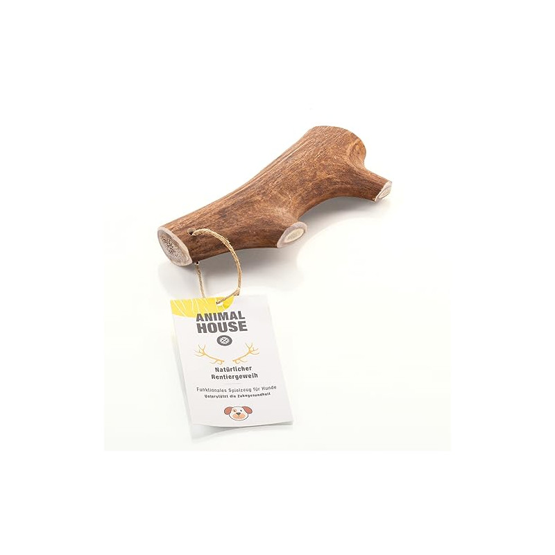 Corno di Renna XL Corno di Renna XL