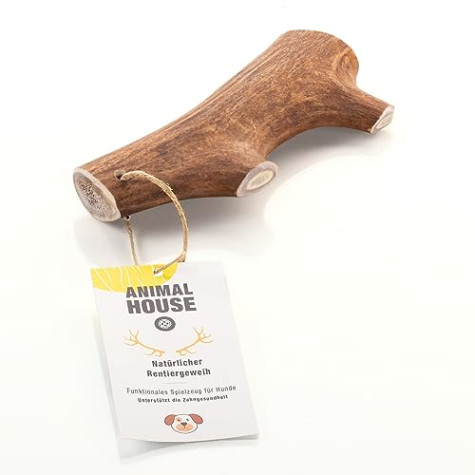 Corno di Renna XL - 
