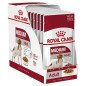ROYAL CANIN Medium Adult 10X140 gr.