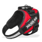 JULIUS K9 - IDC-Powerharness rouge taille. 2