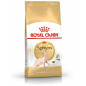 Royal Canin - Sphynx Adult 2KG (Katze)