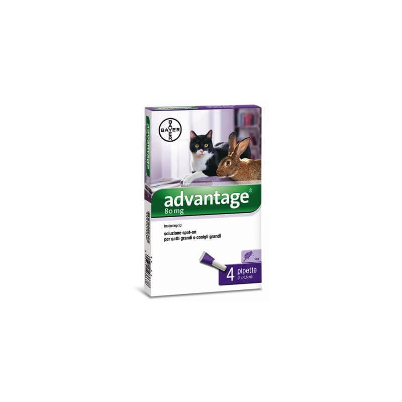 Advantage Spot On Chats et Lapins plus de 4 kg - 4 pipettes Advantage Spot On Chats et Lapins plus de 4 kg - 4 pipettes