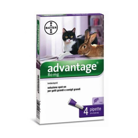 Advantage Spot On Gatti/Conigli Superiore 4 kg. -