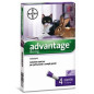 Advantage Spot On Chats et Lapins plus de 4 kg - 4 pipettes