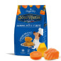 Doggye bag - DoggyeBreak Snack with Salmon Pumpkin and Carrots - 180GR (Dog)