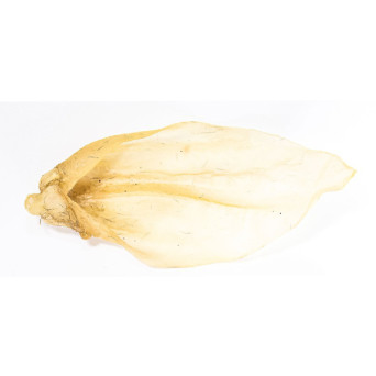 Gusto - Snack Orecchie di Bovino 100% Essicato - 4 Pezzi (Cane) - 
