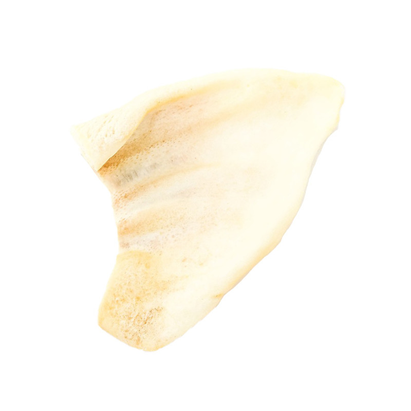 Gusto - Snack Orecchio von Suino Soffiato100% Essicato - 10 Pezzi (Hund) Gusto - Snack Orecchio von Suino Soffiato100% Essicato - 10 Pezzi (Hund)