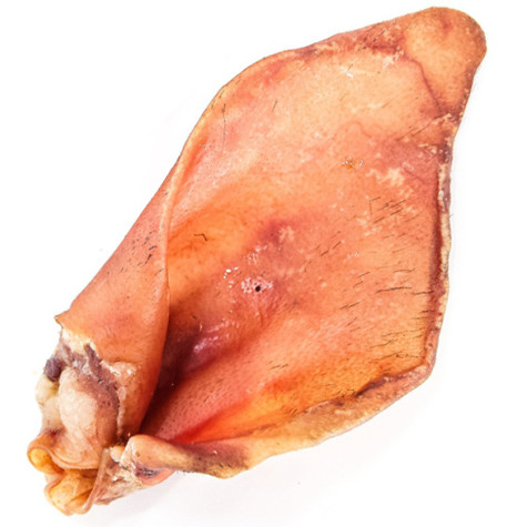 Gusto - Snack Orecchio di Suino Rossa 100% Essicato - 1 Pezzo (Cane) - 