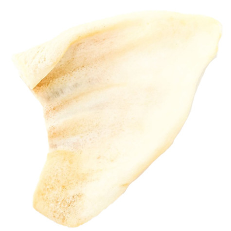 Gusto - Snack Orecchio di Suino Soffiato100% Essicato - 1 Pezzo (Cane) - 