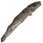 Gusto - Snack Stoccafisso 100% Essicato - 1 Pezzo (Dog)