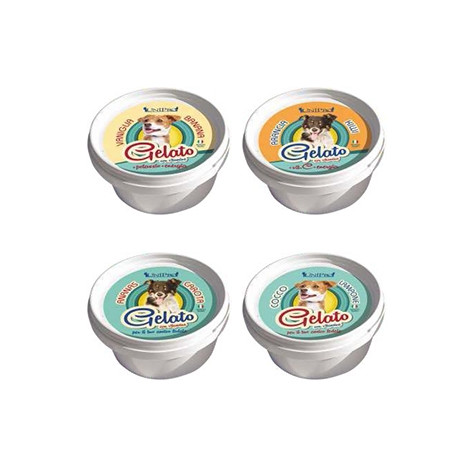 Unipro - Gelato per Cani - 60GR - Arancia e Kiwi (Cane) - 
