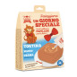 Coltivia - Un Giorno Speciale Kit for il Compleanno del Cat with Tortina Gusto Beef - 1 Box Completo (Cat)