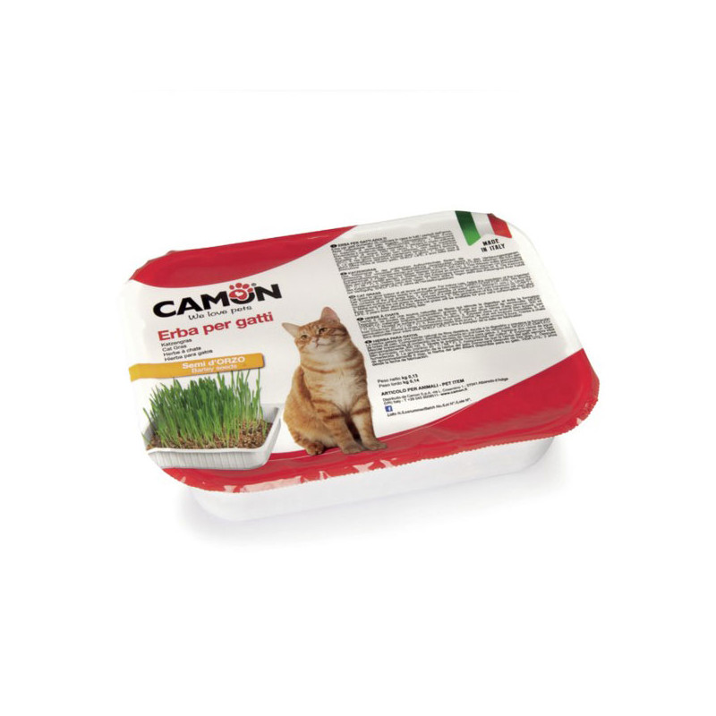 Camon - Erba pour chats Avec Semi Di Orzo - 1 x Barquette (Chat) Camon - Erba pour chats Avec Semi Di Orzo - 1 x Barquette (Chat)