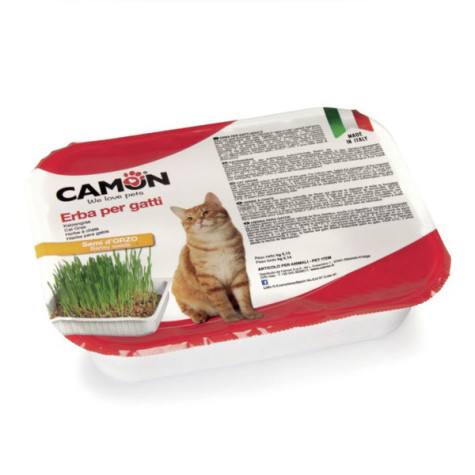 Camon - Erba Per Gatti Con Semi Di Orzo - 1 x Vaschetta (Gatto) - 