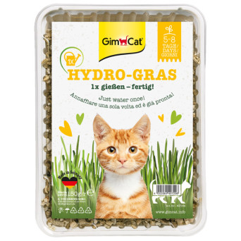 Gimborn Italia - GimCat Erba Gatta Hydro-Gras - 150GR (Gatto) - 