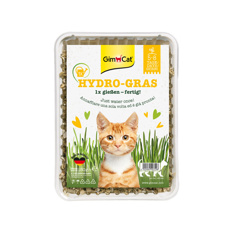 Gimborn Italia - GimCat Erba Gatta Hydro-Gras - 150GR (Gatto) Gimborn Italia - GimCat Erba Gatta Hydro-Gras - 150GR (Gatto)