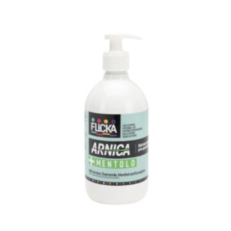 Bioequipe - Gel Arnica + Mentolo - 500ML (Cavallo) - 