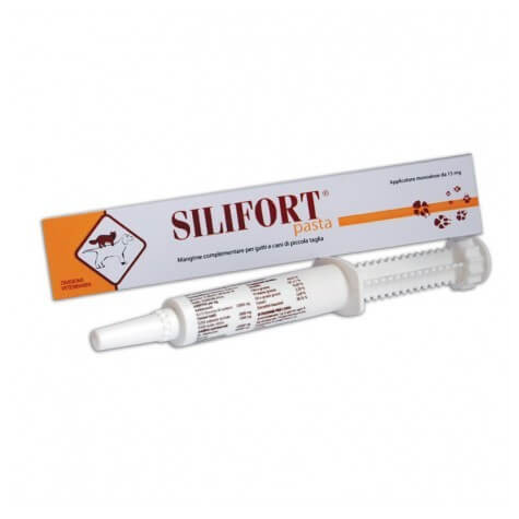 Aurora Biofarma Silifort pâte 15 g