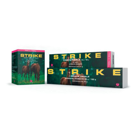 ACME - Strike - 4 buste da 25 gr (Cavallo) - 
