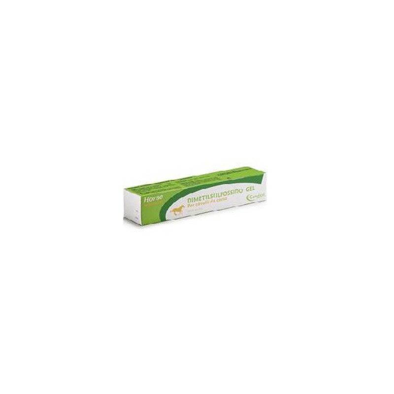 Candioli - Dimetilsulfossido Gel per Cavalli - 110GR (Cavallo)